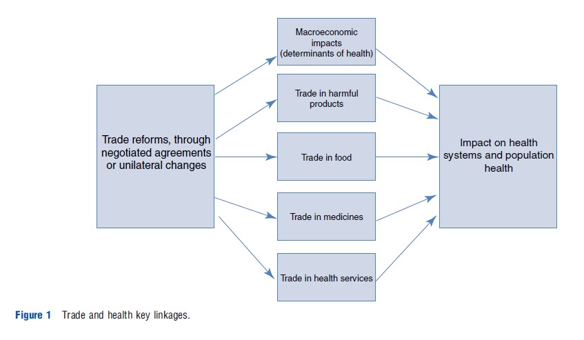 International Trade in Health Services